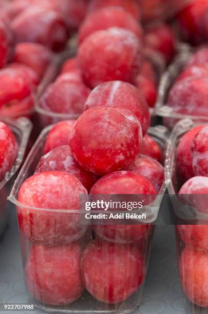 red plums in container for sale at market - greengage stock pictures, royalty-free photos & images