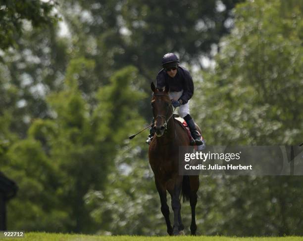 July 6: Mick Kinane and Hawk Wing return after landing The Coral Eurobet Eclipse Stakes run at Sandown Racecourse in Esher on July 06, 2002.