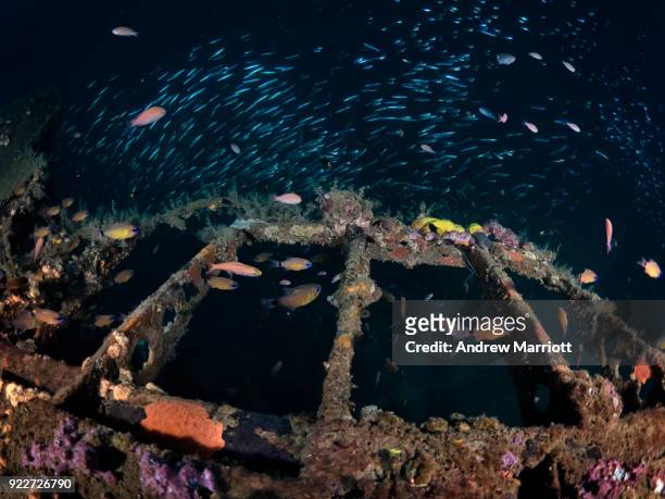 skeleton of an airplane surrounded by fish - zambales province stock pictures, royalty-free photos & images