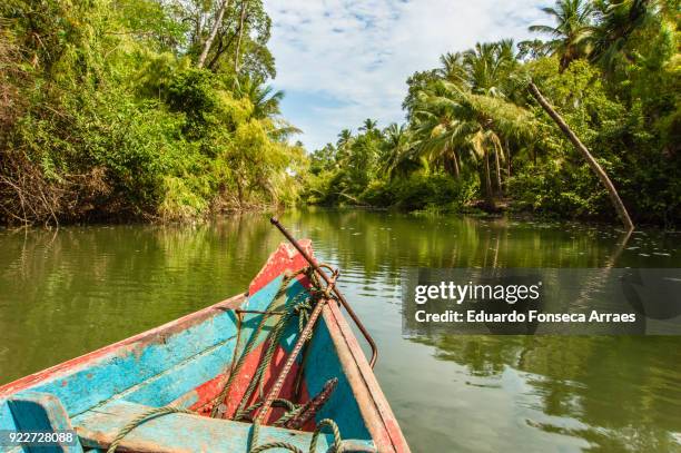 canoeing in the amazonian region - paratransit bildbanksfoton och bilder