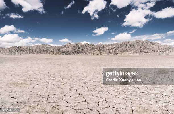 dry land - lake bed 個照片及圖片檔