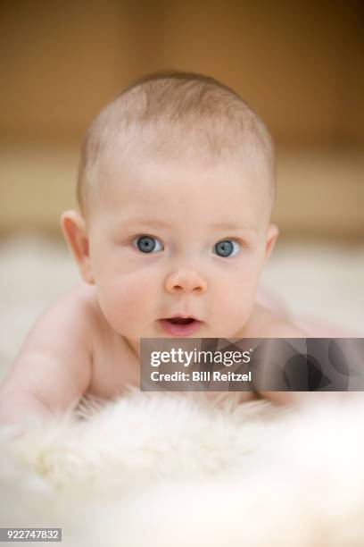 baby boy lying on rug looking at camera - corte madera stock pictures, royalty-free photos & images