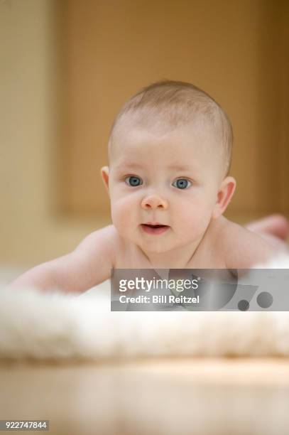 baby boy lying on rug looking at camera - corte madera stock pictures, royalty-free photos & images