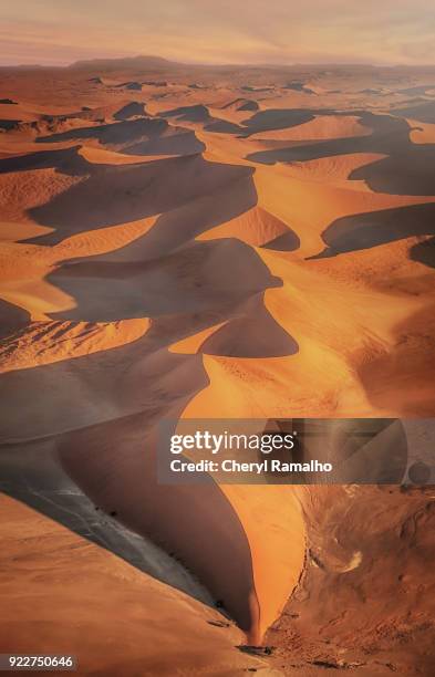 Aerial view of beautiful large red sand dunes of the Namib Desert, with curves, lines, shadows, and textures in golden evening light in Sossusvlei, Namib-naukluft National Park, Namibia.