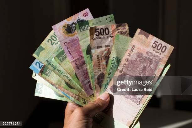 a range of mexican pesos being held in a woman's hand - mexican pesos stock pictures, royalty-free photos & images