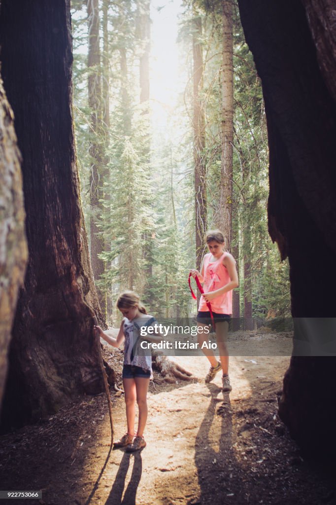 Two girls enjoying an adventure and exploring the Sequoia National Park.