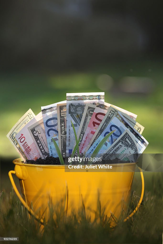 Planted Dollars, Euros and Green Shoots