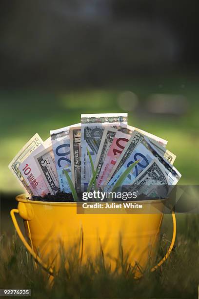 planted dollars, euros and green shoots - green fingers expressão inglesa imagens e fotografias de stock