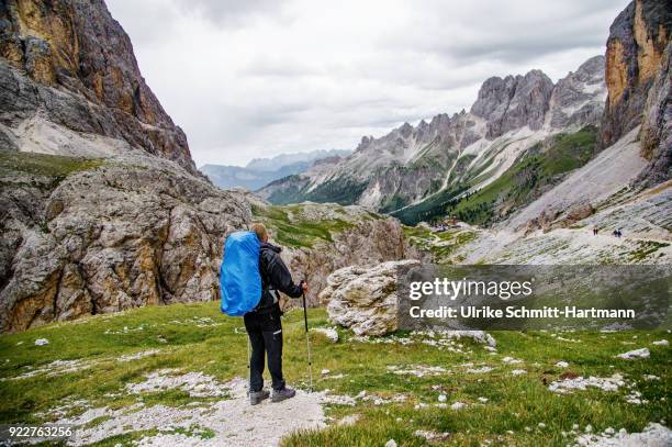 male hiker overlooking rocky terrain in the alps - catinaccio rosengarten 個照片及圖片檔