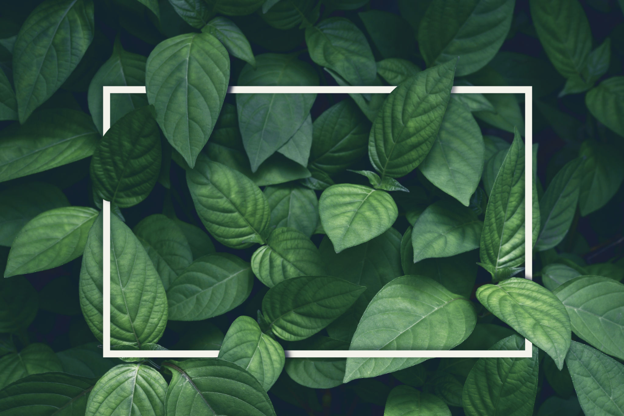 tropical climate materials