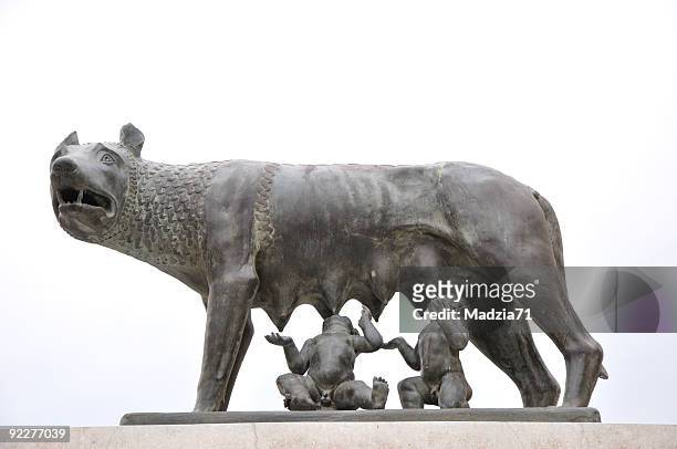 capitoline she-wolf - capitol rome stock pictures, royalty-free photos & images