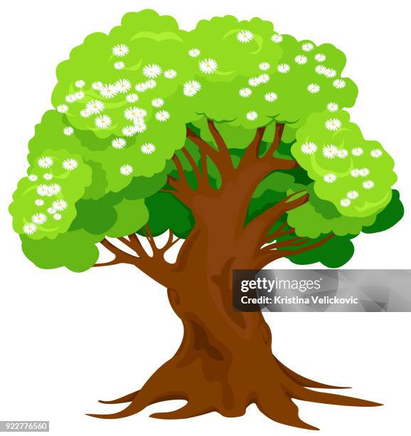 Spring Tree High-Res Vector Graphic - Getty Images