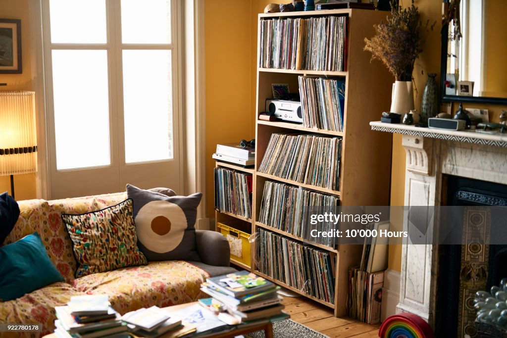 Living room with record collection