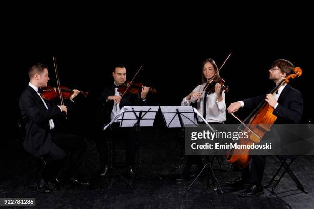 stråkkvartetten utför - klassisk musiker bildbanksfoton och bilder