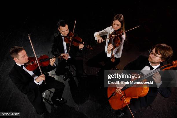 durchführung von streichquartett - streicherquartett stock-fotos und bilder