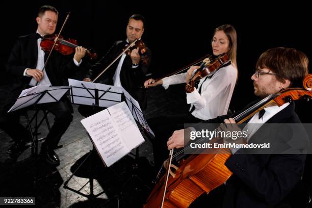 string quartet performing - string quartet stock pictures, royalty-free photos & images