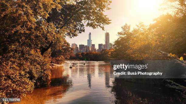 the lake at central park, with view of the skyscrapers of central park south in the background. new york city, usa - autumn in new york foto e immagini stock