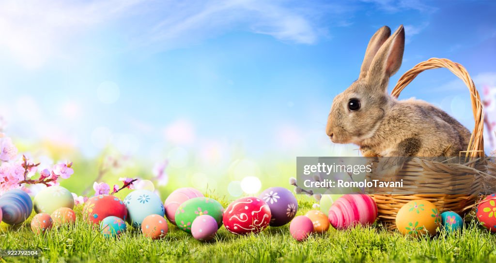 Coelhinho na cesta com ovos decorados - cartão de Páscoa
