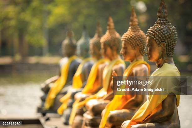 seema malaka tempel in colombo - buddha stock-fotos und bilder