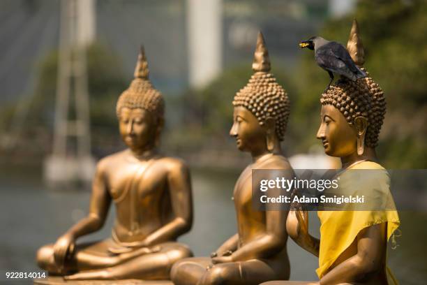 seema malaka temple in colombo - tourism in the cultural capital of sri lanka stock pictures, royalty-free photos & images