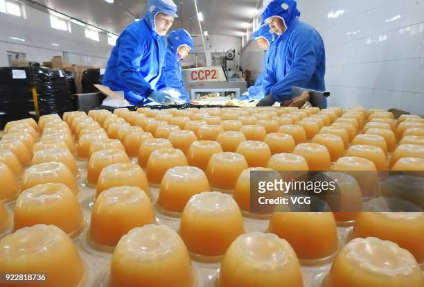 Workers inspect canned fruit at a workshop on February 22, 2018 in Lianyungang, Jiangsu Province of China. It is the first working day after a...