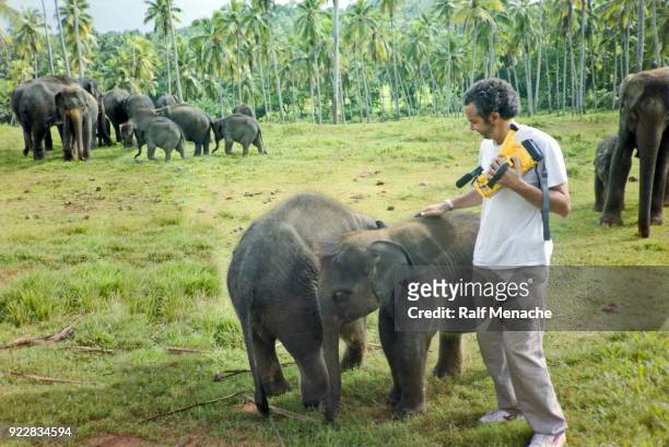 the nineties.  friendship between a fearless young men and the young elephant. rambukkana, sri lanka. - pinnawela stock pictures, royalty-free photos & images