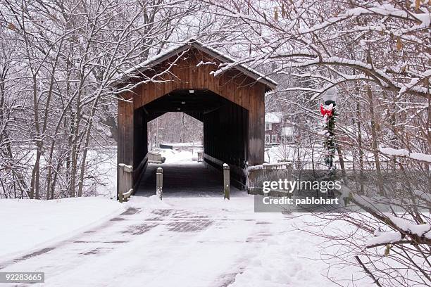 winter bridge at holiday - ada township michigan stock pictures, royalty-free photos & images