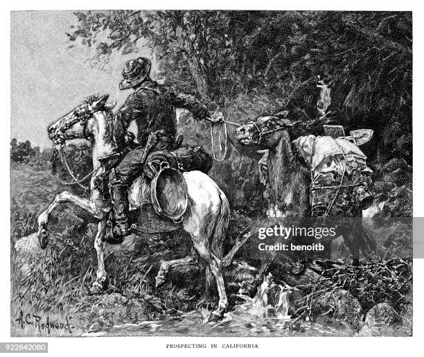 prospecting in california - prospecting stock illustrations