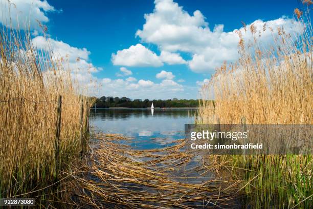 sailing on frensham great pond in the surrey hills - surrey england stock pictures, royalty-free photos & images