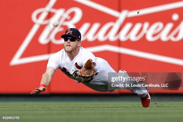 Harrison Bader of the St. Louis Cardinals dives to make a catch during a game against the Milwaukee Brewers on October 1, 2017 at Busch Stadium in...