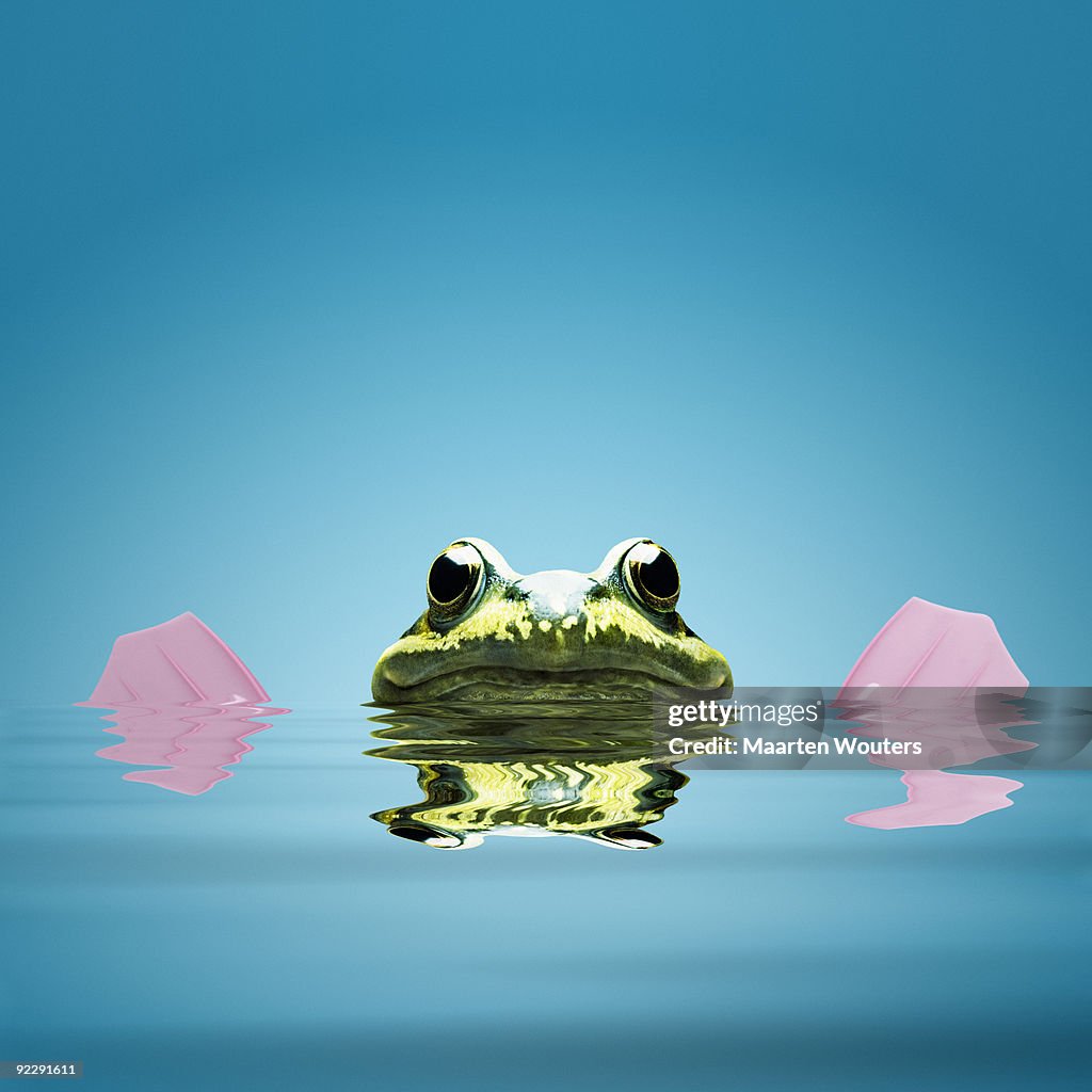 Frog snorkeling v1