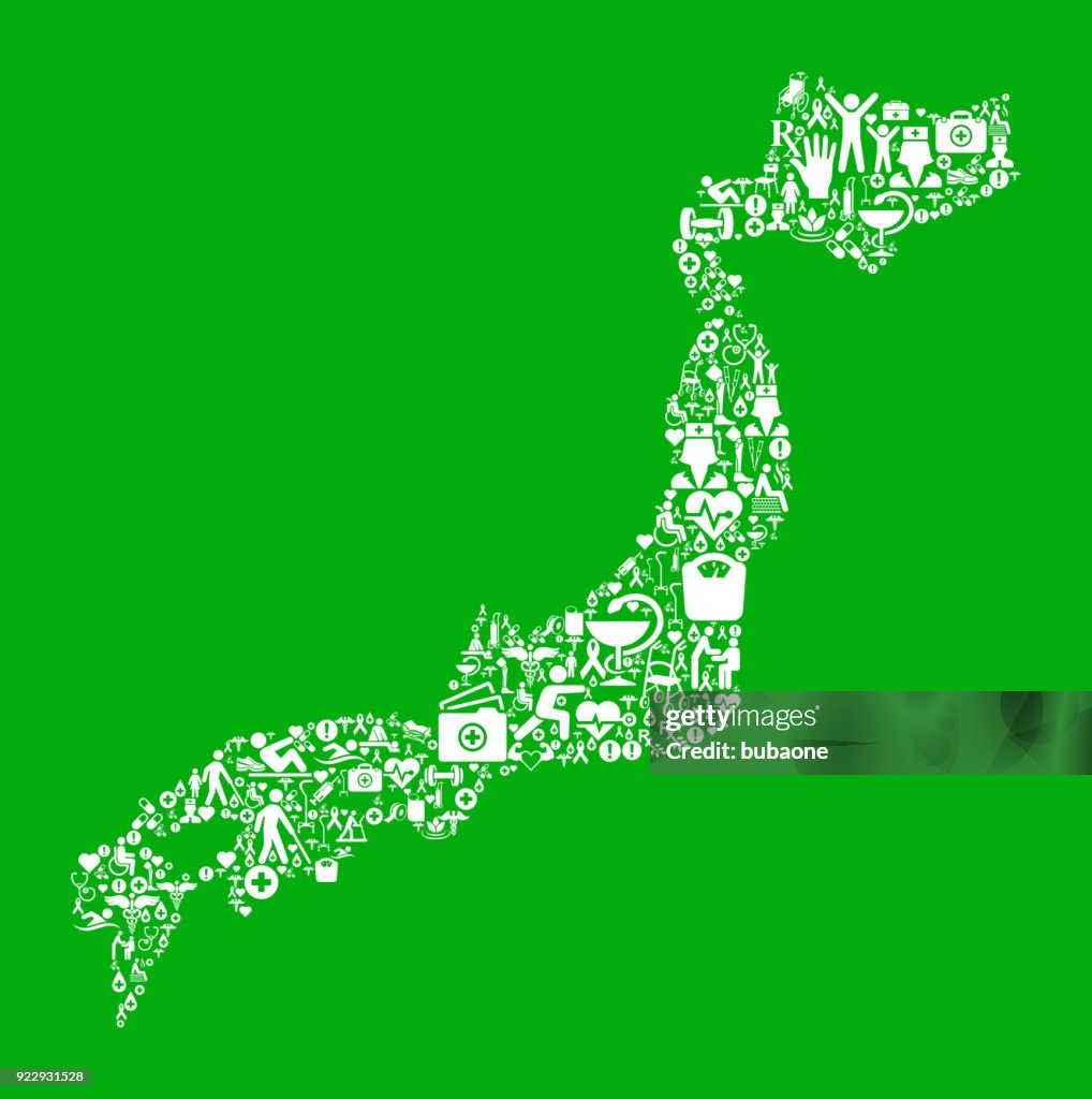 Japan Green Medical Rehabilitation Physical Therapy