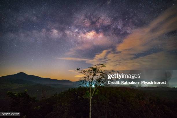 landscape with milky way galaxy. night sky with stars and silhouette tree on the mountain. long exposure photograph. - hat yai bildbanksfoton och bilder