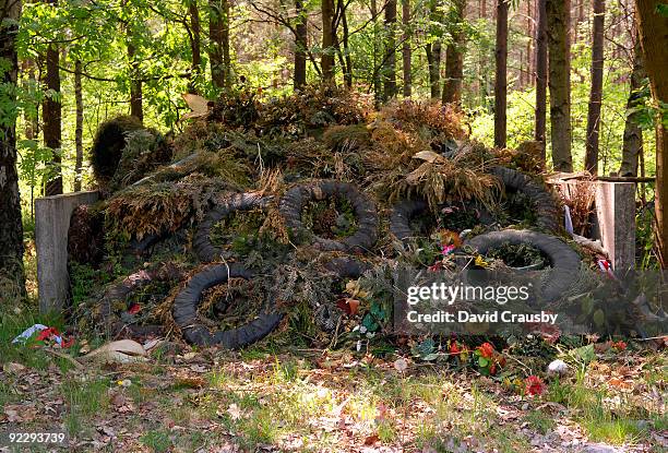 wreath disposal - bergen belsen concentration camp stock pictures, royalty-free photos & images