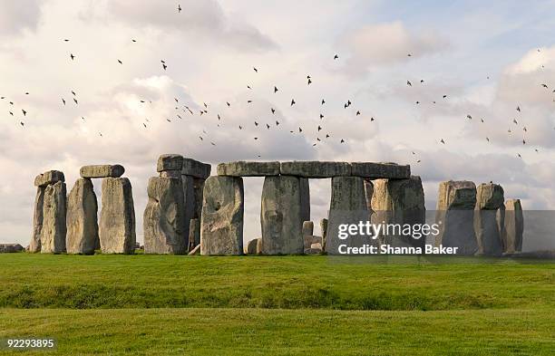 flock of birds flying above stonehenge - stone circle stockfoto's en -beelden