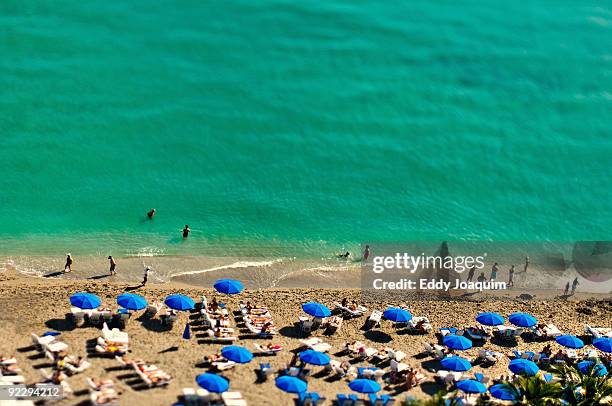 beach - hollywood florida bildbanksfoton och bilder