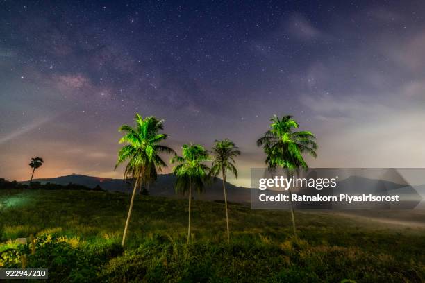 landscape with milky way galaxy. night sky with stars and silhouette coconut palm tree on the mountain. long exposure photograph. - hat yai bildbanksfoton och bilder