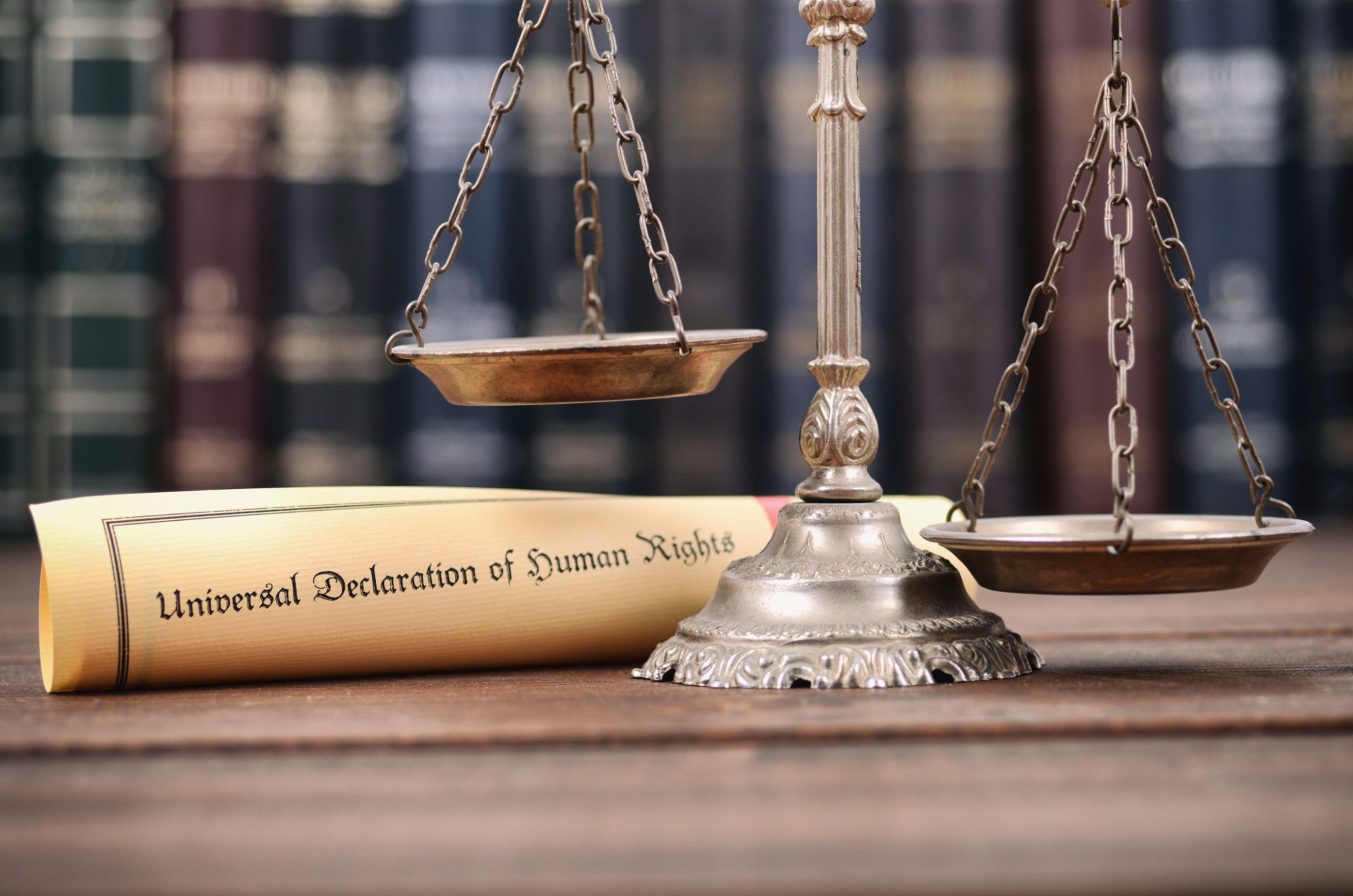 legal rights workshop