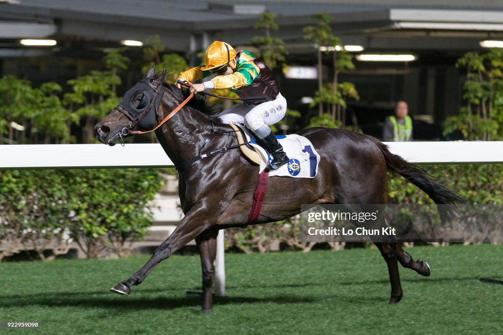 Horse Racing in Hong Kong - Happy Valley Racecourse