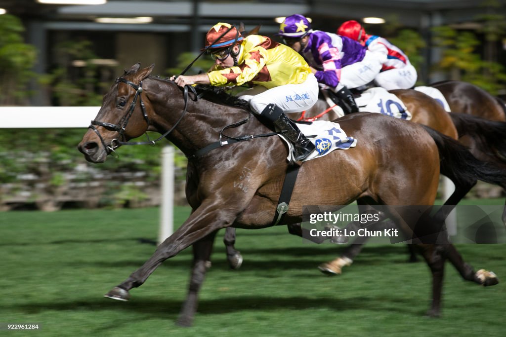 Horse Racing in Hong Kong - Happy Valley Racecourse