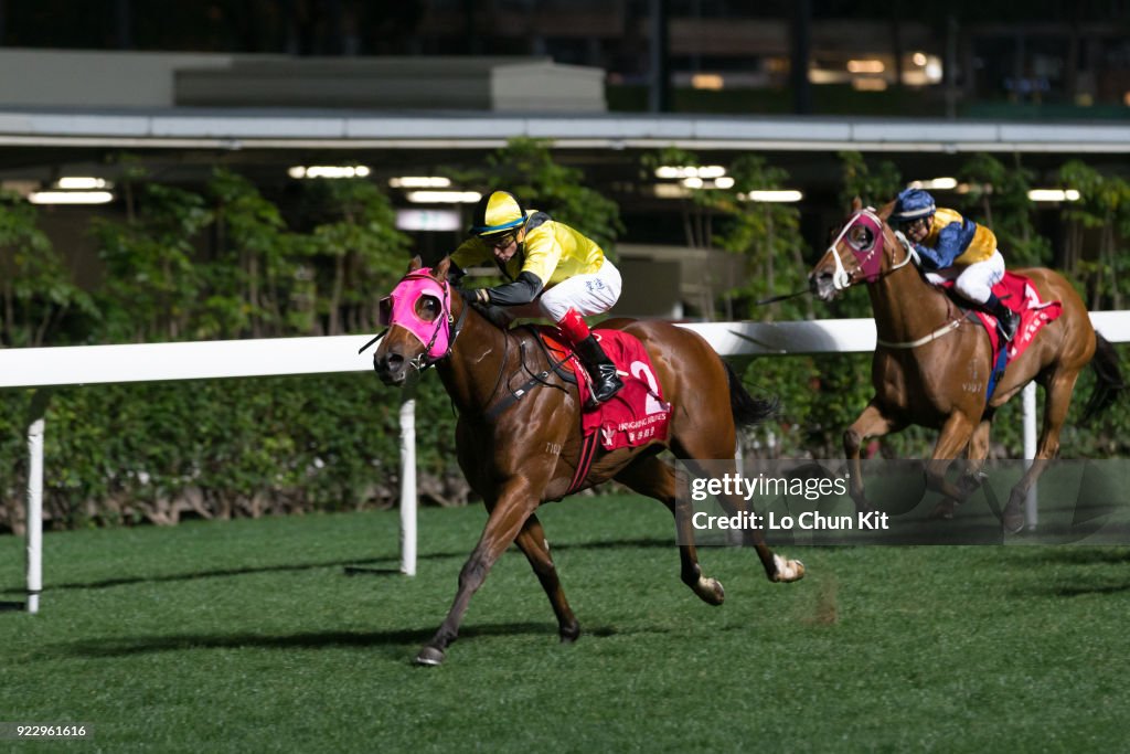 Horse Racing in Hong Kong - Happy Valley Racecourse