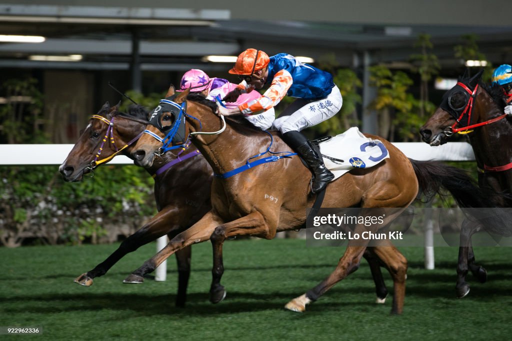 Horse Racing in Hong Kong - Happy Valley Racecourse