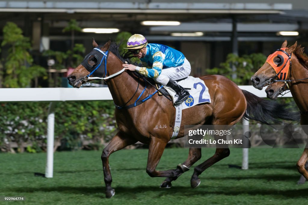 Horse Racing in Hong Kong - Happy Valley Racecourse