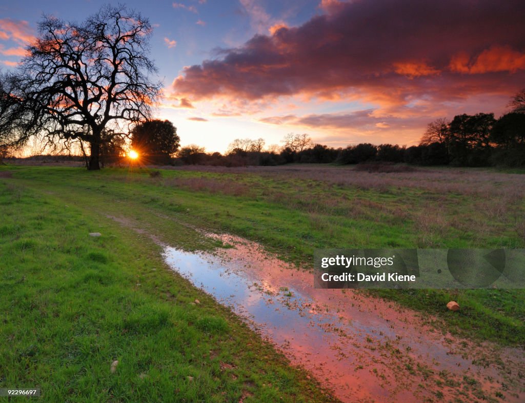 American River Parkway