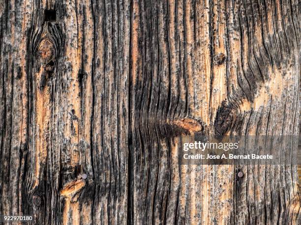 High Vis Rexture 134 High Vis Texture Stock Photos, High-Res Pictures, and Images ...