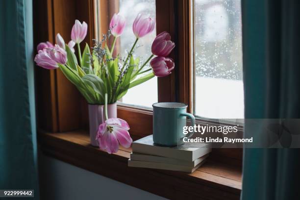 tulips  on a window sill - window sill stock pictures, royalty-free photos & images