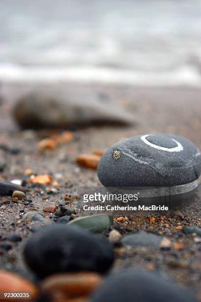 grey and white pebble  - catherine macbride stock pictures, royalty-free photos & images