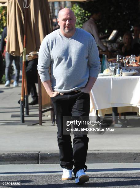 Dana White is seen on February 21, 2018 in Los Angeles, California.