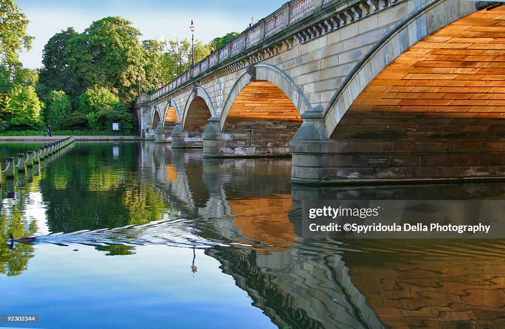 The bridge, hyde park, reflections, duck swimming