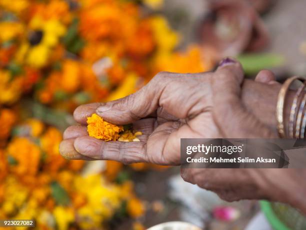 close up photo of senior hindu woman praying - wishful skin imagens e fotografias de stock